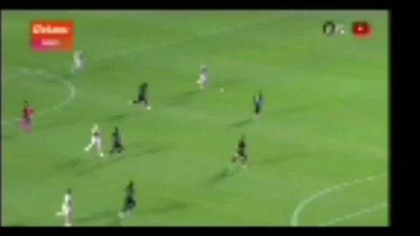 Vidios pornograficos careca fodendo a loira